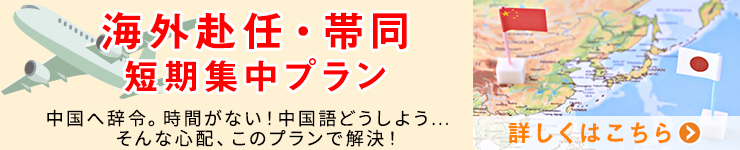 海外赴任短期集中プラン